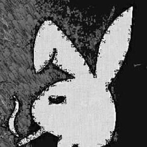 Meet your Posher, Beau